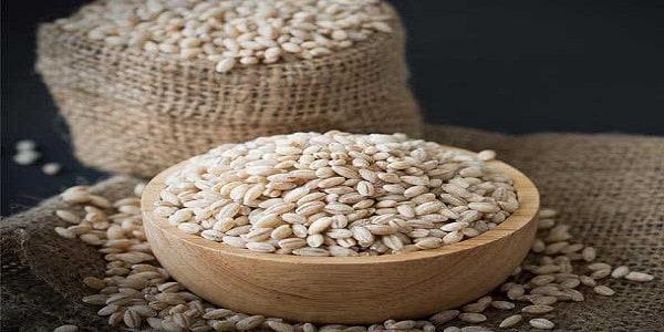 تصویر 2 از قیمت دانه جو دوسر + خرید باور نکردنی